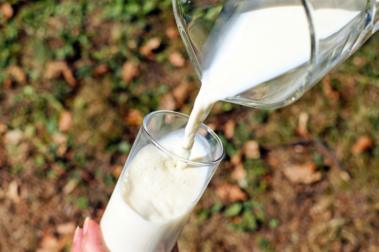 Czy mleko jest zdrowe? Odkrywamy fakty i mity